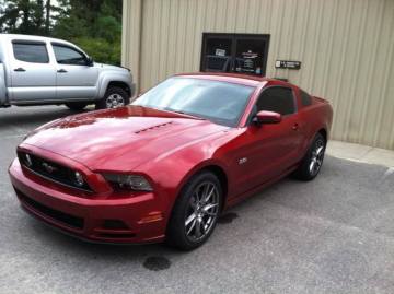 Mustang - Window Tint