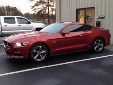 Mustang - Window Tint